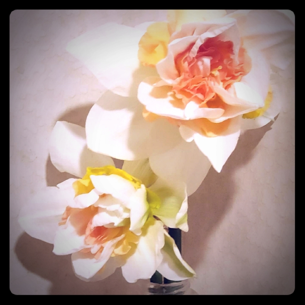 Meet your Posher, Brandi